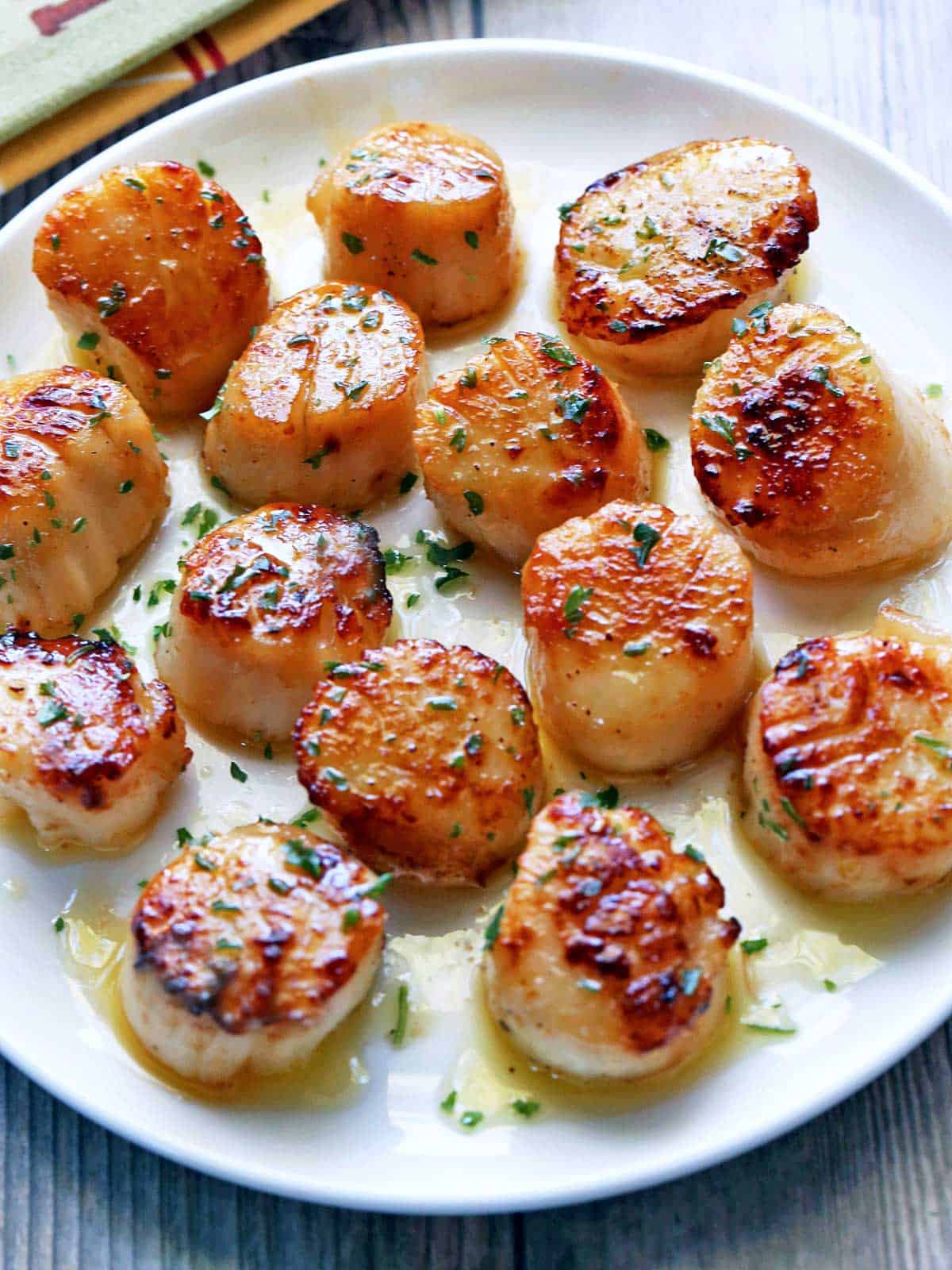 Seared scallops are served on a white plate, topped with parsley.