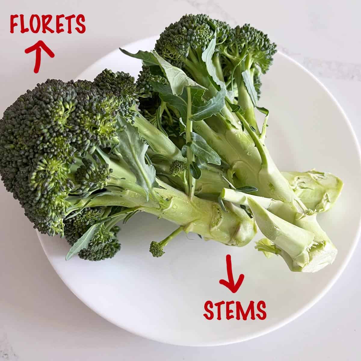 Broccoli stems and broccoli florets. on a white plate