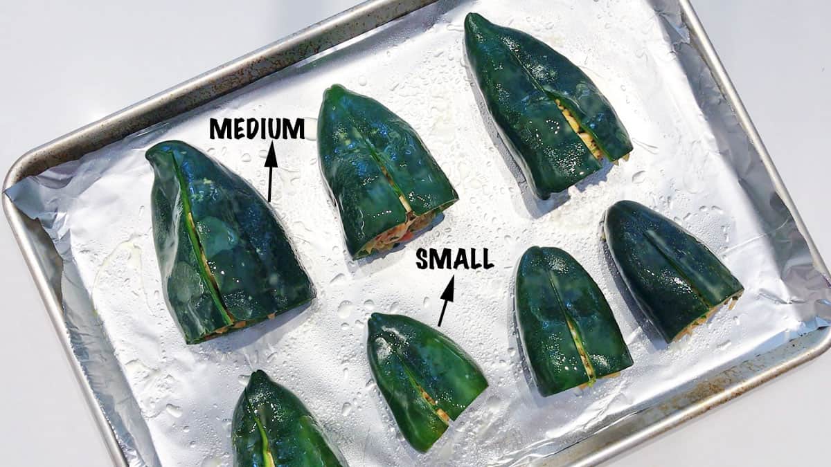 Different sizes of poblano peppers on a baking sheet.