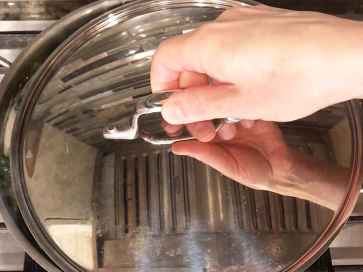 Partially covering the stockpot.