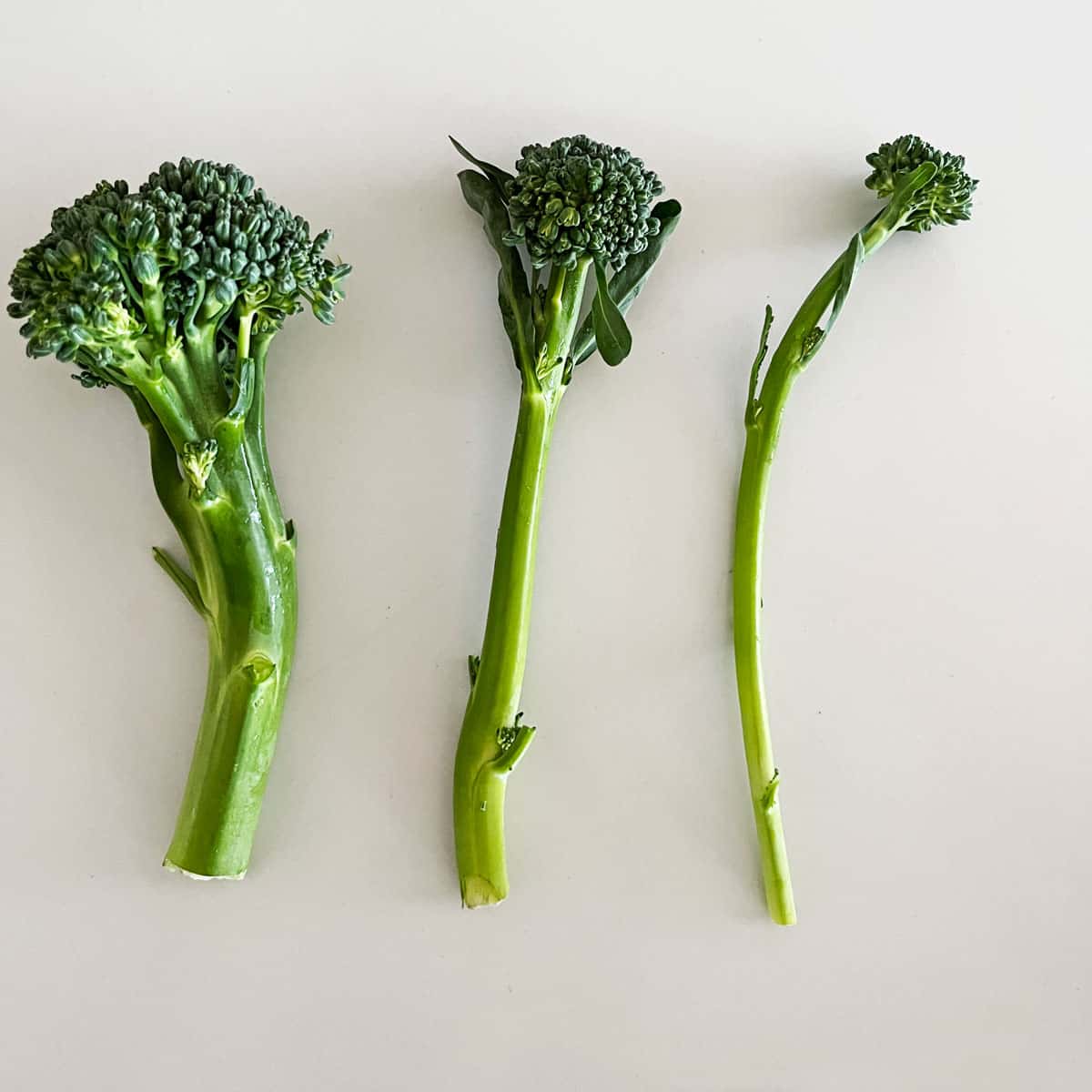 Three different sizes of broccolini.