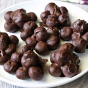 Chocolate covered blueberries are served on a white plate.