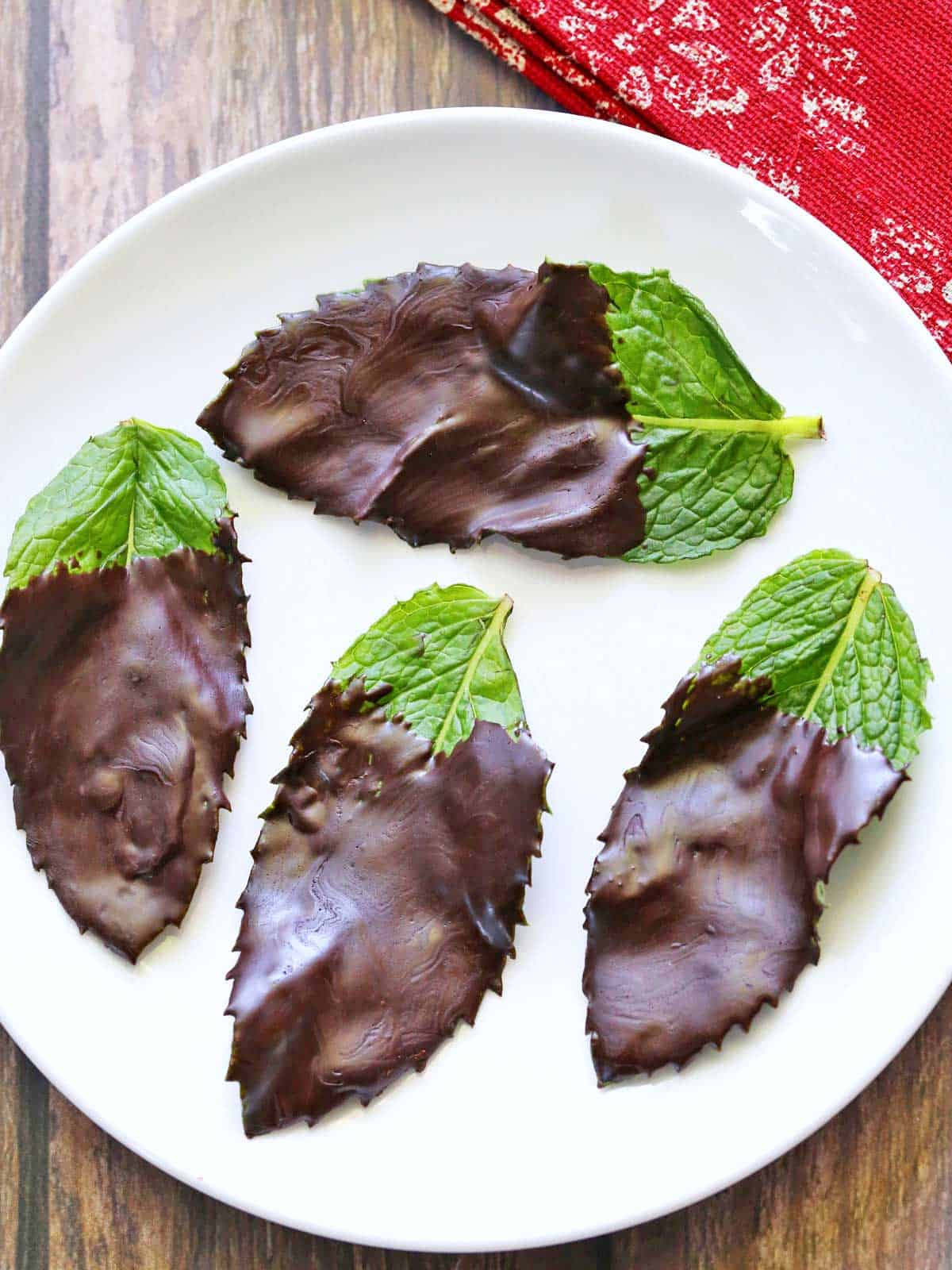 Chocolate mint leaves are served on a white plate.