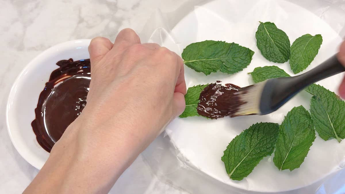 Coating the mint leaves in melted chocolate.