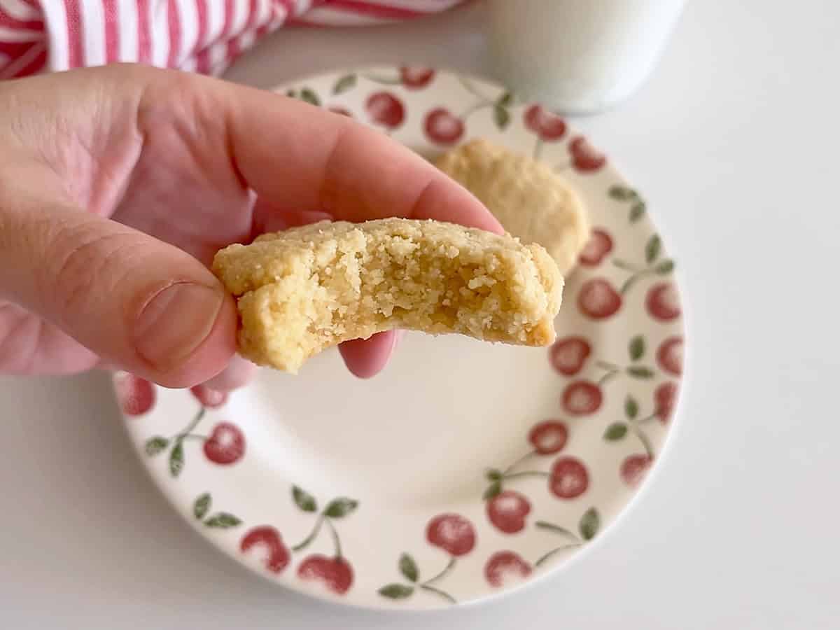 A hand is holding a bitten cookie to show its texture.