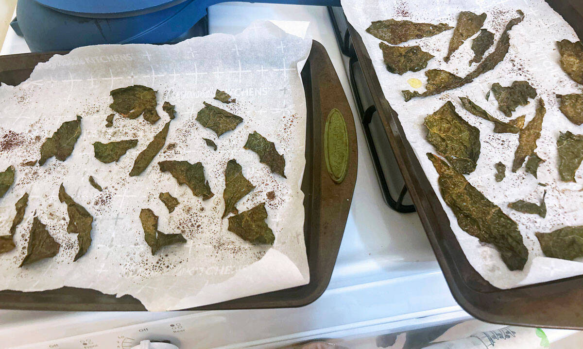 Tuscan kale chips on pan.